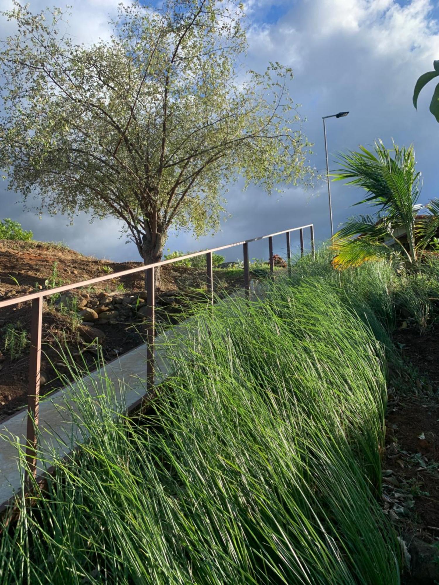 Conectar Con La Naturaleza Esparza Bagian luar foto